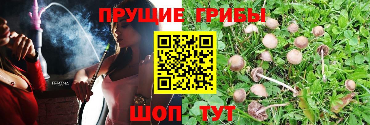 Галлюциногенные грибы прущие грибы Белая Калитва